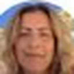 Prof. Sandra Dias
